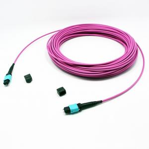 MPO / MTP patchcord